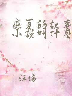 恋夏的故事原著小说叫什么名字