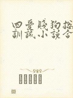 四爱贱狗总裁的训诫小说合集