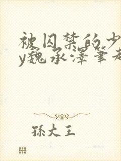 被囚禁的少女by魏承泽笔趣阁