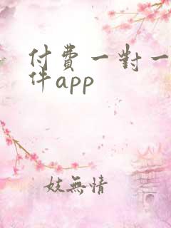 付费一对一聊软件app