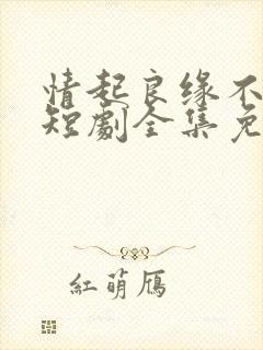 情起良缘不可窃短剧全集免费观看