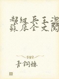 超级兵王混都市苏辰全文阅读