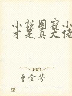 小说团宠小师妹才是真大佬免费阅读