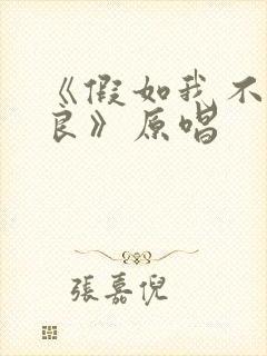 《假如我不再善良》原唱