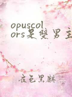 opuscolors是双男主吗