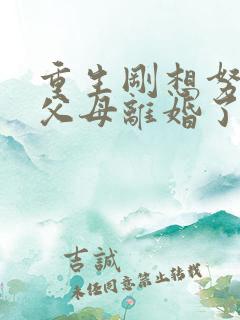 重生刚想努力,父母离婚了全文