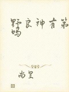 野良神有第三季吗