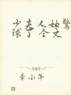 少夫人她惊艳全球了 全文