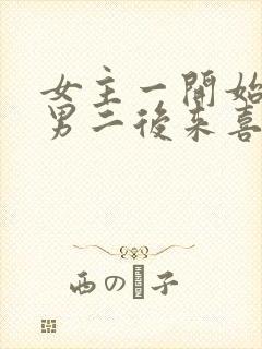 女主一开始喜欢男二后来喜欢男主的小说