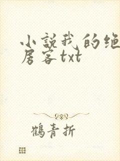 小说我的绝色女房客txt