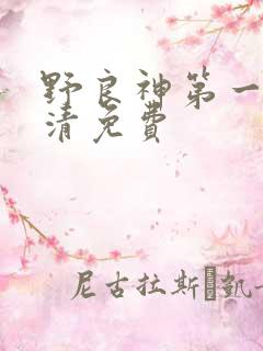 野良神第一季超清免费