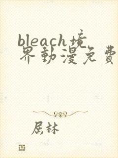 bleach境界动漫免费在线观看全集