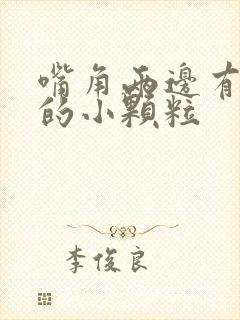 嘴角两边有白色的小颗粒