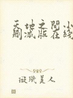 天地之间小说无删减版在线阅读