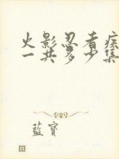 火影忍者疾风传一共多少集