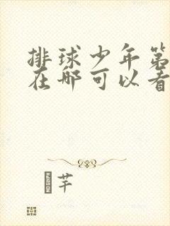 排球少年第二季在哪可以看