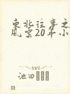 东北往事之黑道风云20年小说在线阅读无弹窗