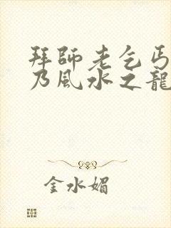 拜师老乞丐:我乃风水之龙陈启小说什么书