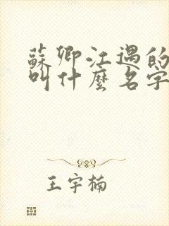 苏卿江遇的小说叫什么名字