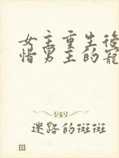 女主重生后悔珍惜男主的宠文古言