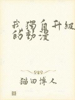 我独自升级类似的动漫