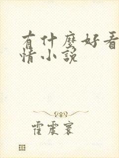 有什么好看的言情小说