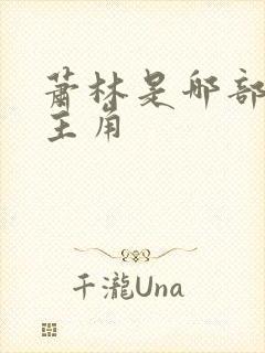 萧林是哪部小说主角