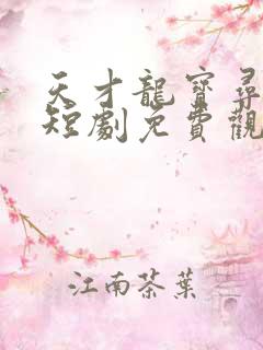 天才龙宝寻亲记短剧免费观看全集