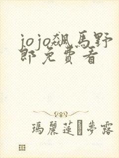 jojo飙马野郎免费看