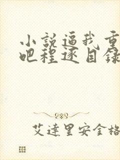 小说逼我重生是吧程逐目录