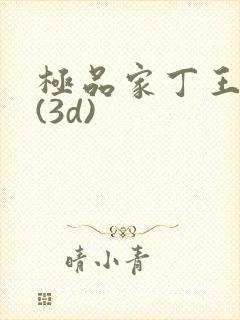 极品家丁王鹏篇(3d)