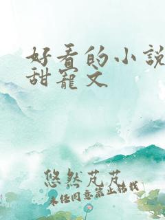 好看的小说言情甜宠文