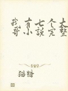 我有七个大佬哥哥小说完整免费