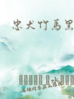 忠犬竹马黑化了