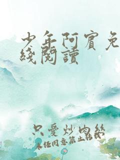 少年阿宾免费在线阅读