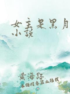 女主是黑月光的小说