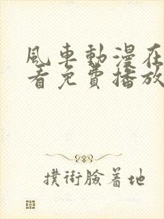 风车动漫在线观看免费播放