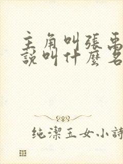 主角叫张禹的小说叫什么名字