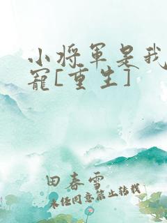 小将军是我心尖宠[重生]