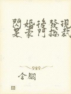 闪婚后发现老公是豪门总裁 全本