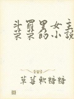 斗罗里女主是宁荣荣的小说