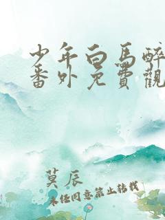 少年白马醉春风番外免费观看