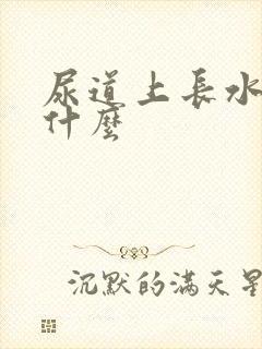 尿道上长水泡是什么