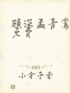 顾深孟青鸾短剧免费