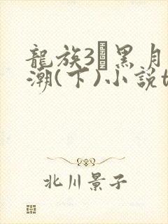 龙族3·黑月之潮(下)小说txt下载