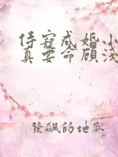 侍宠成婚小甜妻真要命顾浅陆御城