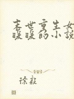 末世重生女主叫暖暖的小说