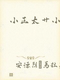 小正太艹小正太
