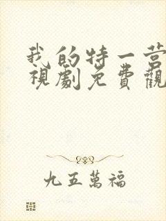 我的特一营 电视剧免费观看