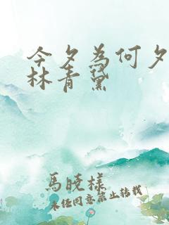 今夕为何夕短剧林青黛